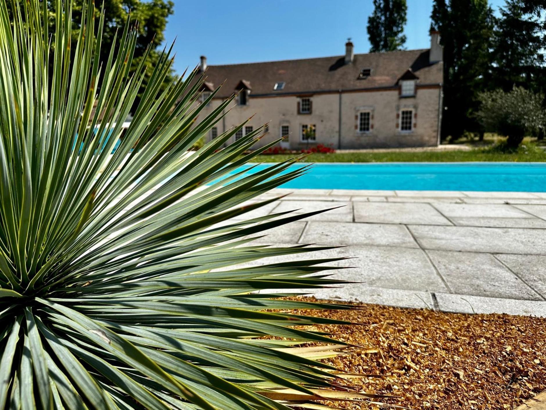 Domaine De Couilleuse Hotel Saint-Laurent-Nouan Eksteriør billede