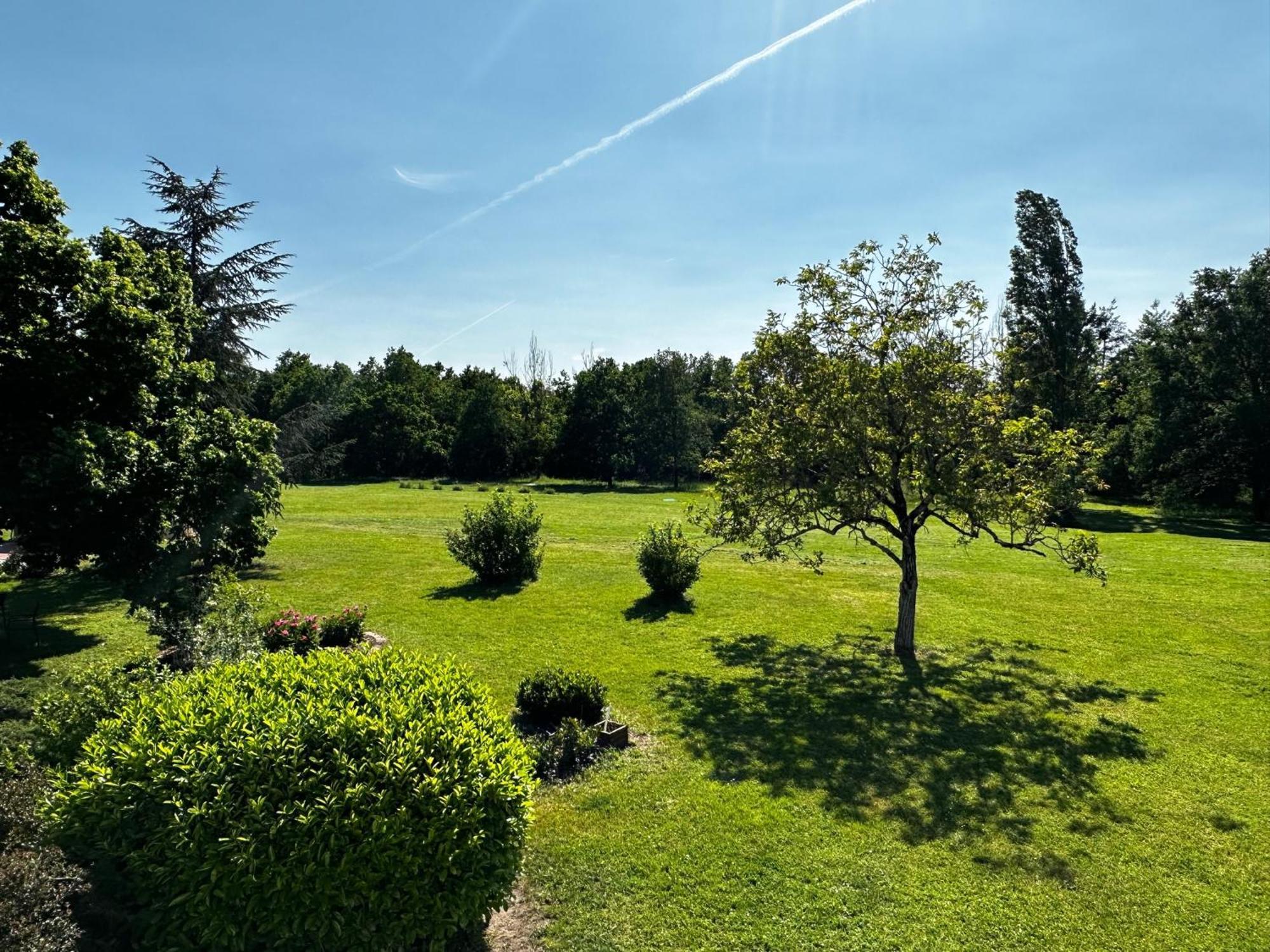Domaine De Couilleuse Hotel Saint-Laurent-Nouan Eksteriør billede